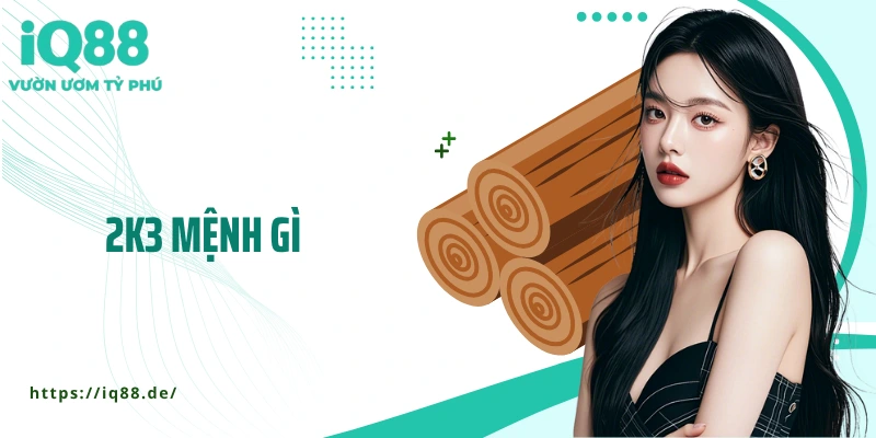 2k3 Mệnh Gì? Giải Mã Tử Vi Tuổi Quý Mùi Chính Xác Từ A-Z - ZEMALI.CLUB