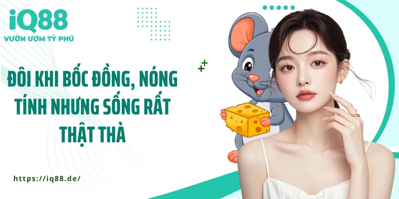 Năm 2k8 Tuổi Con Gì? Hé Lộ Bí Mật Về Tính Cách Và Tương Lai - ZEMALI.CLUB