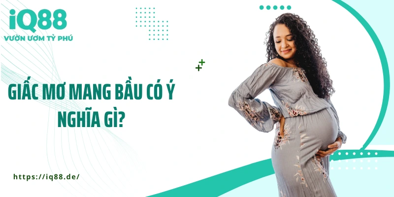Mơ Thấy Có Bầu - Ý Nghĩa Và Giải Mã Giấc Mơ Chi Tiết - ZEMALI.CLUB