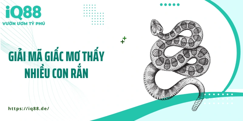 Mơ Thấy Nhiều Rắn - Bất Ngờ Với Những Lý Giải Tâm Linh - ZEMALI.CLUB