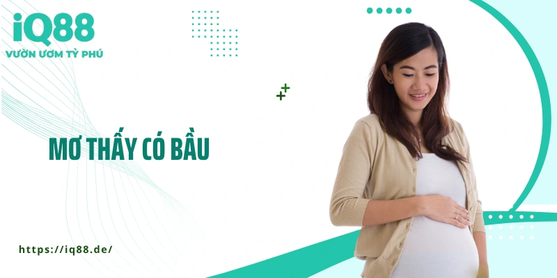Mơ Thấy Có Bầu - Ý Nghĩa Và Giải Mã Giấc Mơ Chi Tiết - ZEMALI.CLUB