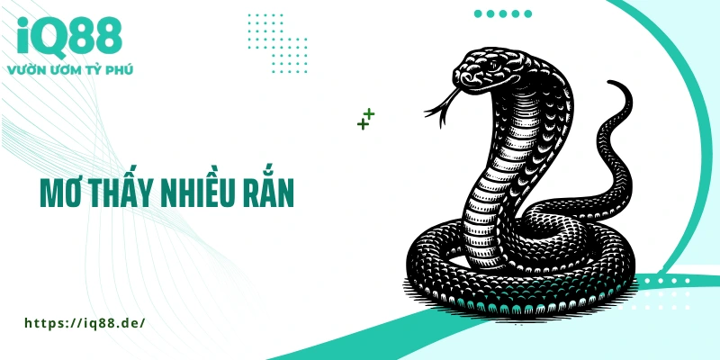 Mơ Thấy Nhiều Rắn - Bất Ngờ Với Những Lý Giải Tâm Linh - ZEMALI.CLUB