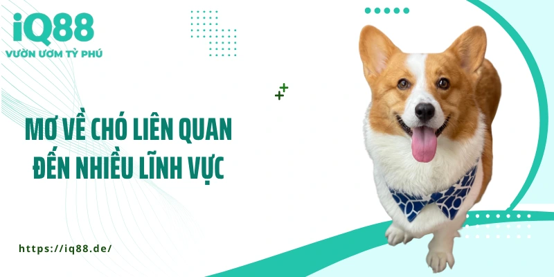Mơ Thấy Chó: Giấc Mơ Báo Hiệu Điều Gì, Lành Hay Dữ? - ZEMALI.CLUB