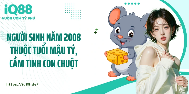 Năm 2k8 Tuổi Con Gì? Hé Lộ Bí Mật Về Tính Cách Và Tương Lai - ZEMALI.CLUB