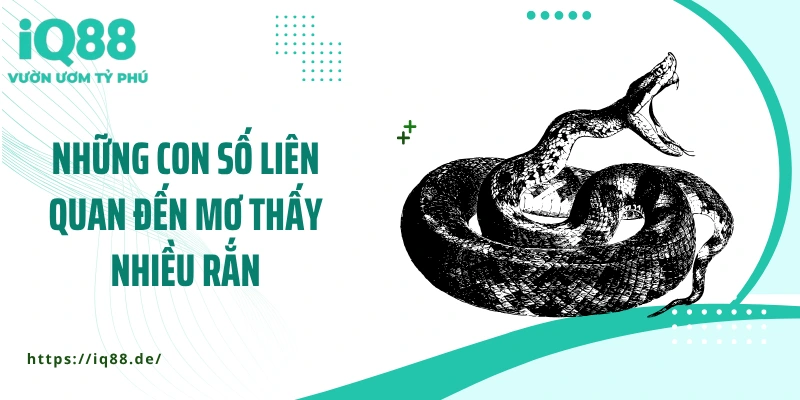 Mơ Thấy Nhiều Rắn - Bất Ngờ Với Những Lý Giải Tâm Linh - ZEMALI.CLUB