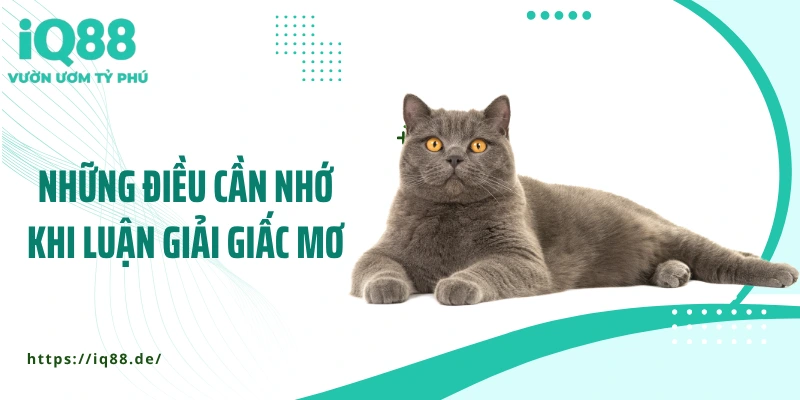 Mơ Thấy Mèo: Giải Mã Những Thông Điệp Bất Ngờ Từ Giấc Mơ - ZEMALI.CLUB