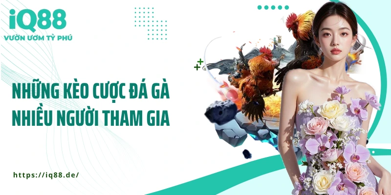 Sân Đá Gà IQ88 - Cược Nhanh, Thắng Lớn, Hồi Hộp Từng Giây - ZEMALI.CLUB