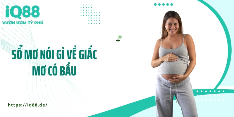 Mơ Thấy Có Bầu - Ý Nghĩa Và Giải Mã Giấc Mơ Chi Tiết - ZEMALI.CLUB
