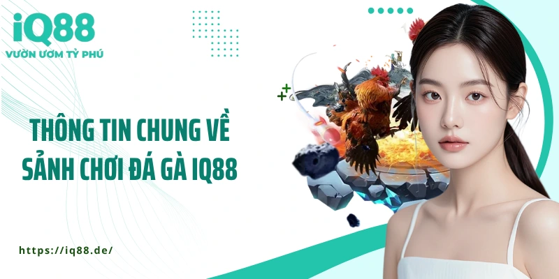 Sân Đá Gà IQ88 - Cược Nhanh, Thắng Lớn, Hồi Hộp Từng Giây - ZEMALI.CLUB