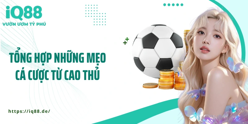 Bật Mí Mẹo Chơi Cá Cược Bóng Đá Giúp Bạn Luôn Giữ Lợi Thế - ZEMALI.CLUB