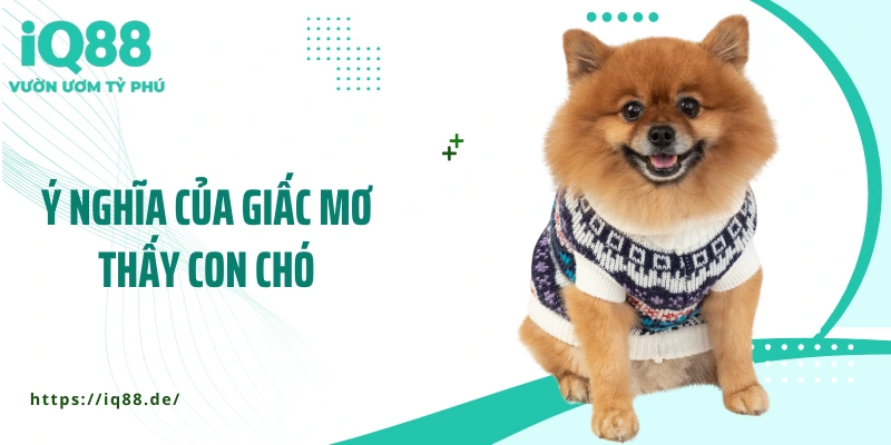 Mơ Thấy Chó: Giấc Mơ Báo Hiệu Điều Gì, Lành Hay Dữ? - ZEMALI.CLUB