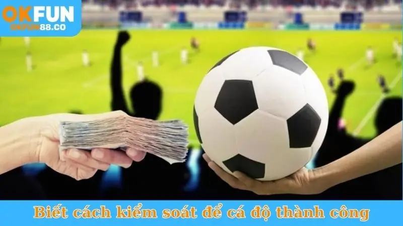 Bí Kíp Chọn Kèo Ít Rủi Ro - Thắng Chắc, Ăn Đậm! - ZEMALI.CLUB