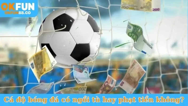 Cá Cược Bóng Đá Có Vi Phạm Pháp Luật Không? Giải Đáp Ngay! - ZEMALI.CLUB