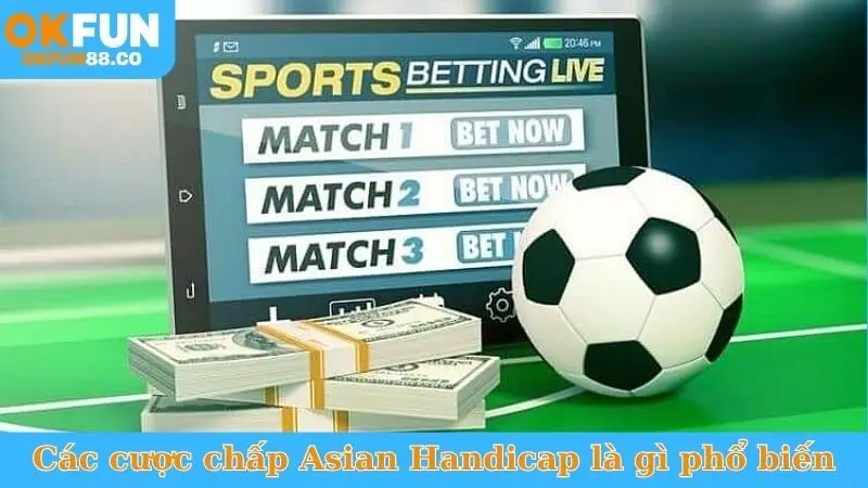 Asian Handicap Là Gì? Bí Quyết Thắng Lớn Cá Độ Bóng Đá - ZEMALI.CLUB