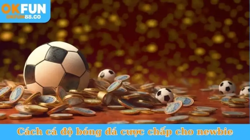 Cách Cá Độ Bóng Đá Cược Chấp - Đánh Đâu Thắng Đó! - ZEMALI.CLUB
