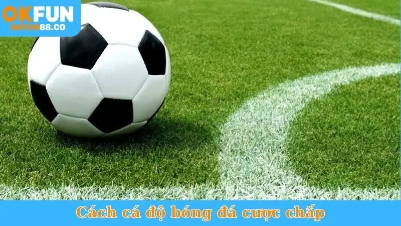 Thể Thao OKFUN - Sống Với Đam Mê, Cơ Hội Thắng Lớn  - ZEMALI.CLUB