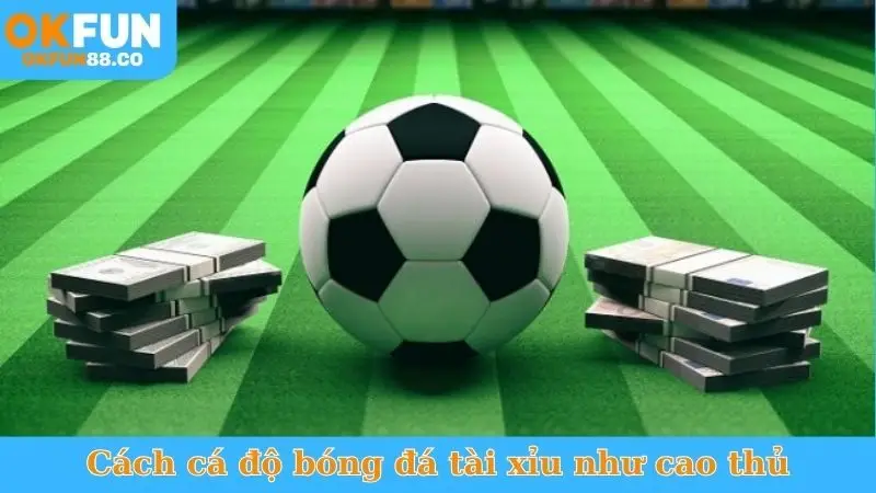 Cách Cá Độ Bóng Đá Tài Xỉu - Bí Quyết Nhanh Rinh Thưởng - ZEMALI.CLUB