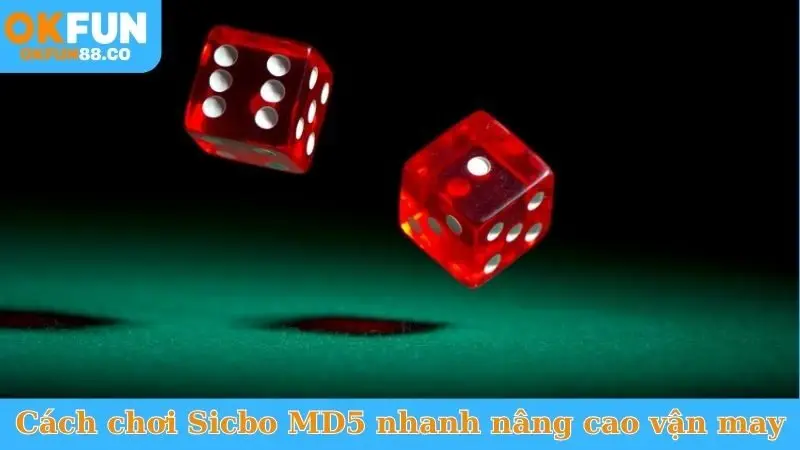 Nắm Vững Cách Chơi Sicbo MD5 - Kiếm Tiền Triệu Mỗi Ngày - ZEMALI.CLUB