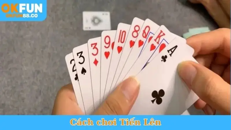 Cách Chơi Phỏm online - Học Ngay Chiến Thuật, Thắng Đậm - ZEMALI.CLUB