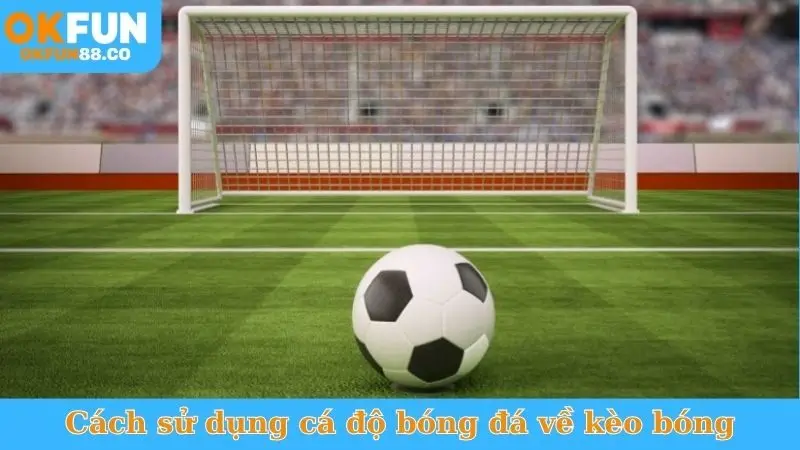 Bật Mí Công Thức Cá Độ Bóng Đá - Kiếm Tiền Triệu Mỗi Ngày - ZEMALI.CLUB