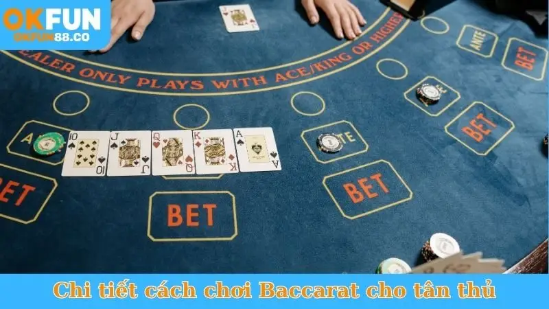 Cách Chơi Baccarat OKFUN Chi Tiết Cho Người Mới Bắt Đầu - ZEMALI.CLUB
