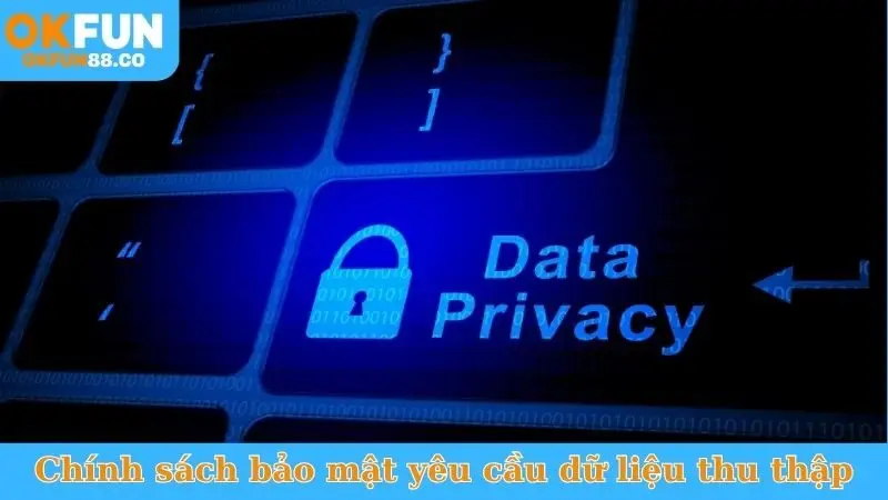 Chính Sách Bảo Mật - Cam Kết An Toàn Dữ Liệu Tuyệt Đối - ZEMALI.CLUB