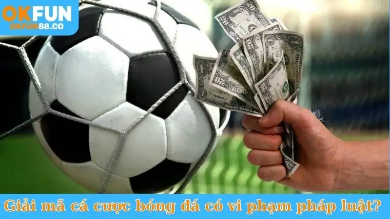 Cá Cược Bóng Đá Có Vi Phạm Pháp Luật Không? Giải Đáp Ngay! - ZEMALI.CLUB