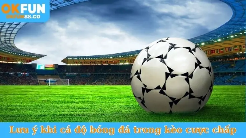 Cách Cá Độ Bóng Đá Cược Chấp - Đánh Đâu Thắng Đó! - ZEMALI.CLUB