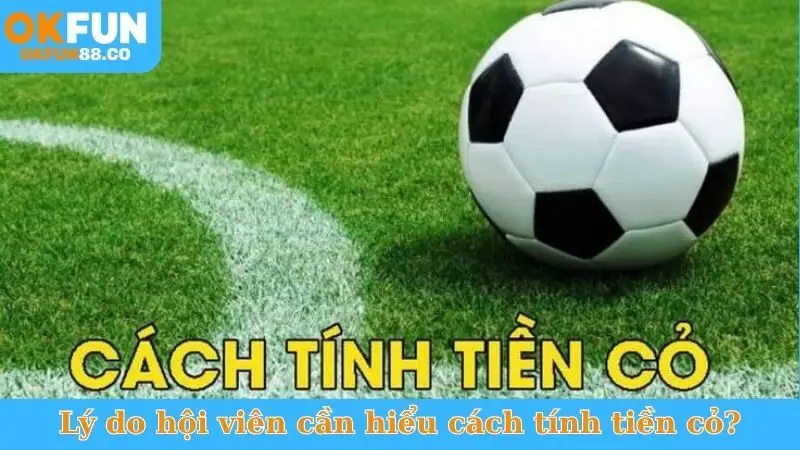 Cách Tính Tiền Cỏ - Công Thức Chuẩn, Nhận Hoàn Trả Khủng! - ZEMALI.CLUB