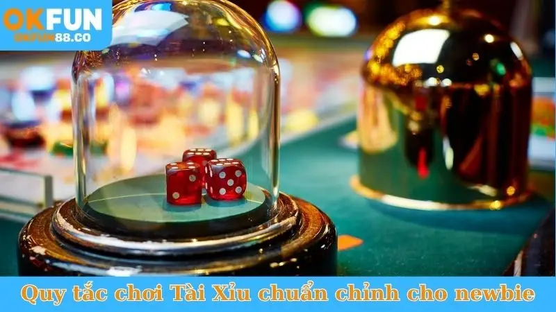 Cách Chơi Tài Xỉu Okfun Luôn Thắng - Bí Kíp Từ Cao Thủ - ZEMALI.CLUB