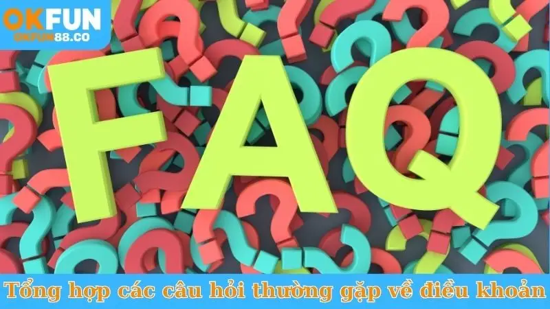 Điều Kiện Điều Khoản - Tổng Hợp Quy Định Bạn Cần Biết - ZEMALI.CLUB