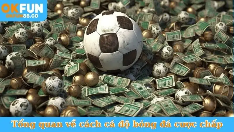 Cách Cá Độ Bóng Đá Cược Chấp - Đánh Đâu Thắng Đó! - ZEMALI.CLUB