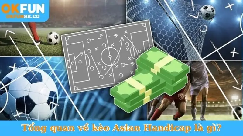 Asian Handicap Là Gì? Bí Quyết Thắng Lớn Cá Độ Bóng Đá - ZEMALI.CLUB